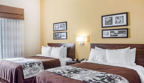 Room, 2 Queen Beds, Non Smoking (Pet Friendly)