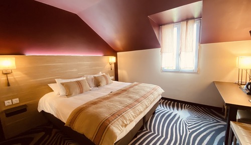 Superior Single Room