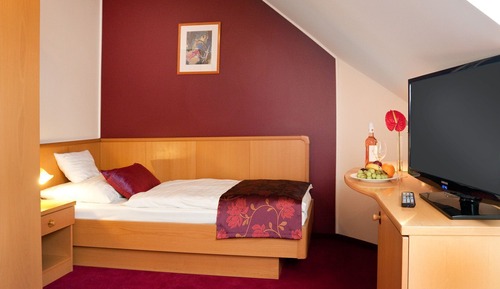 Standard Single Room, 1 Twin Bed