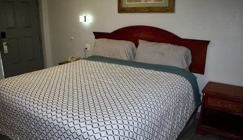 Room, 1 King Bed