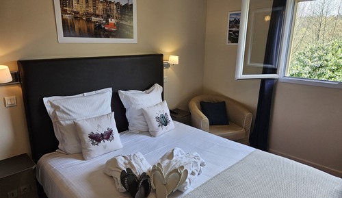 Standard Double Room (8)