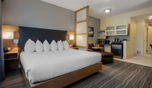 Standard Room, 1 King Bed, Accessible, Refrigerator & Microwave