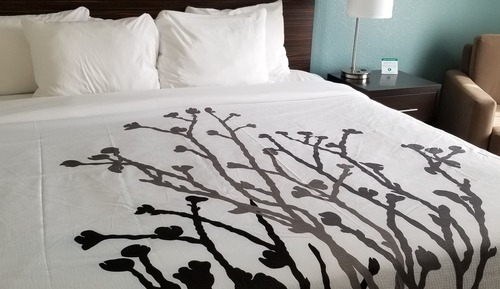 Room, 1 King Bed, Accessible, Non Smoking