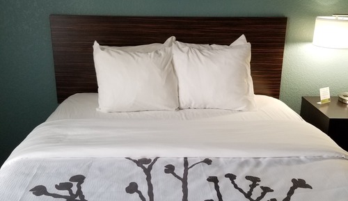 Suite, 1 King Bed with Sofa bed, Non Smoking