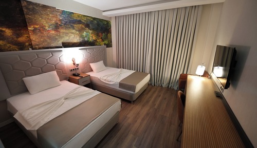 Junior Double or Twin Room
