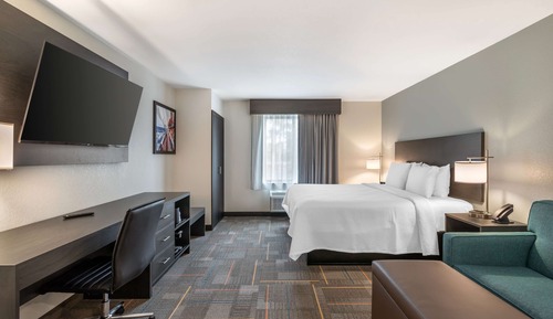 Suite, 1 King Bed, Non Smoking, Kitchen (with Sofabed, Full Kitchen)