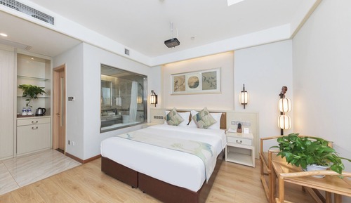 Basic Double or Twin Room