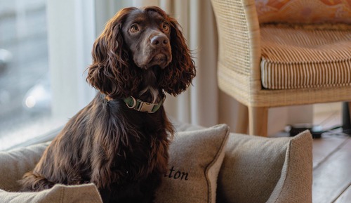 Large Guest Room, Sea View