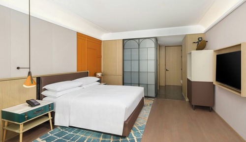 Room, 1 King Bed