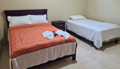 Family Double or Twin Room
