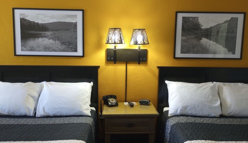 Pet Friendly Room