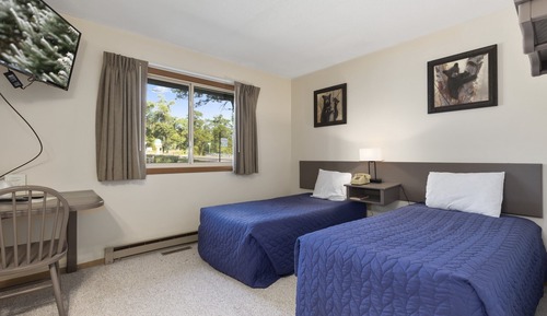 Basic Twin Room, 1 Bedroom