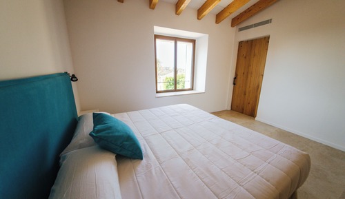 Suite, Mountain View