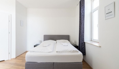 Basic Apartment