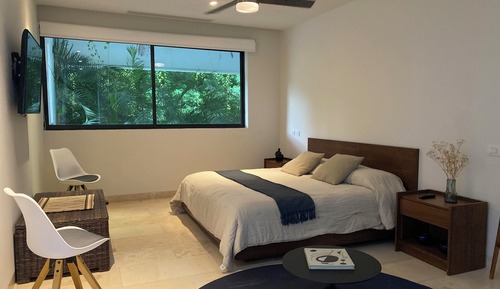 Luxury Apartment