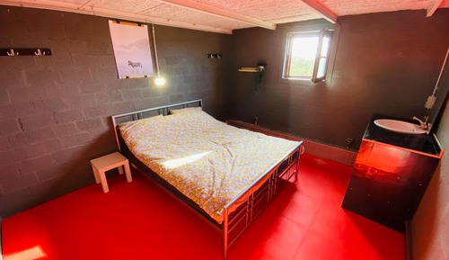 Basic Double Room