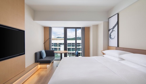 Standard Room, 1 King Bed, Non Smoking, City View