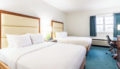 Single Room, 2 Queen Beds