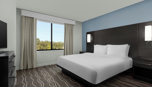 Suite, 1 Bedroom
