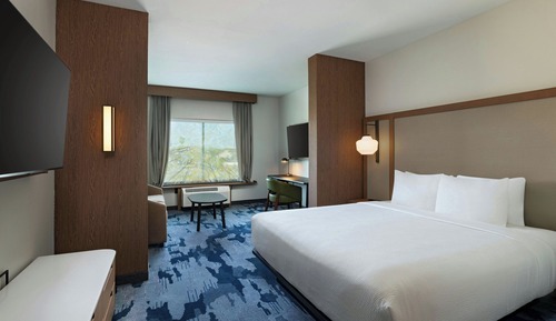 Suite, 1 King Bed with Sofa bed