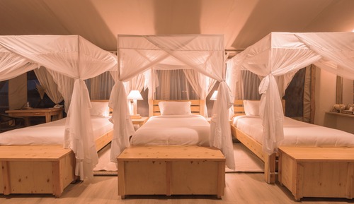 Club Triple Room