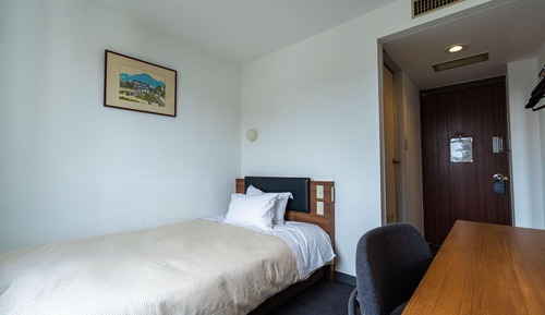 Business Single Room, Smoking