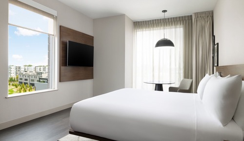 Suite, 1 King Bed