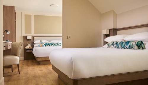 Superior Quadruple Room