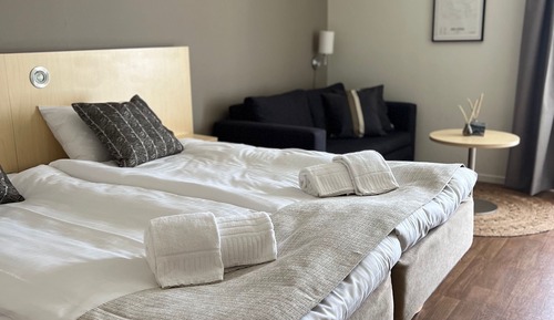 Comfort Double Room, 1 Double Bed with Sofa bed