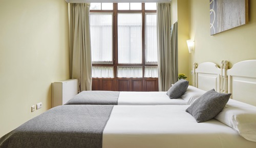 Basic Double or Twin Room