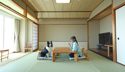 Ocean View Japanese-Western-Style Room Non Smoking