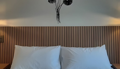Basic Apartment