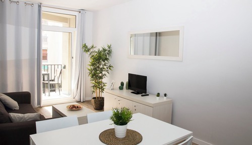 Basic Apartment, City View