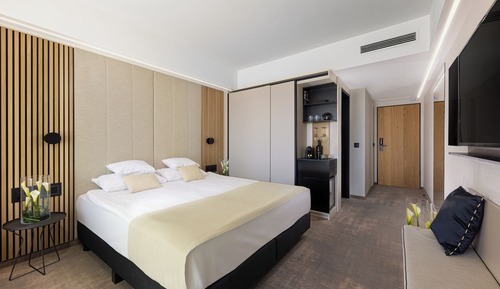 Superior Disabled Room