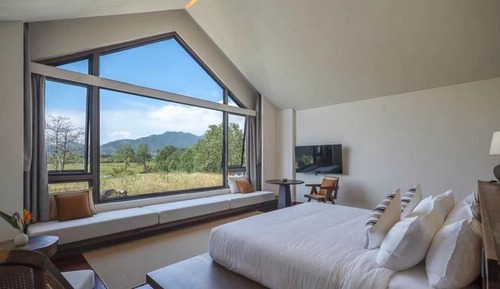Signature Studio Suite