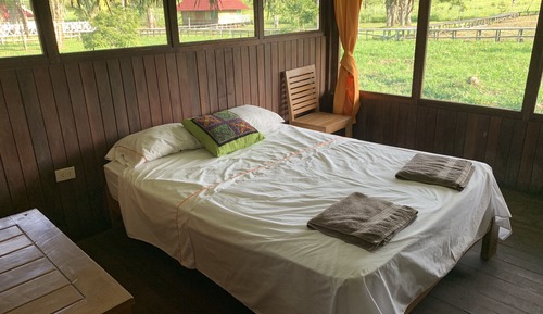 Basic Bungalow, Garden View