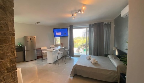 Deluxe Apartment, Pool View