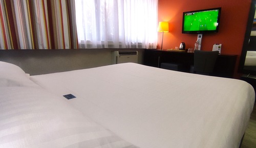 Comfort Room, 1 Queen Bed