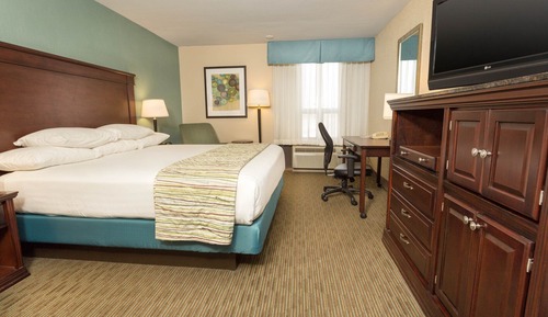 Standard Room, 1 King Bed