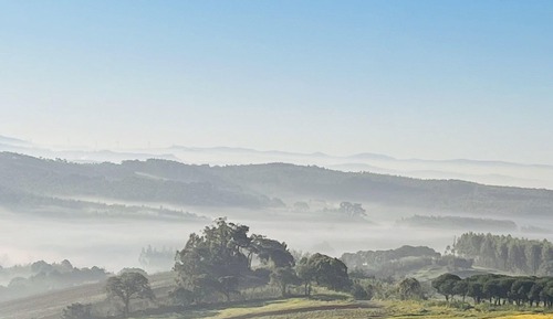 Suite Alentejo