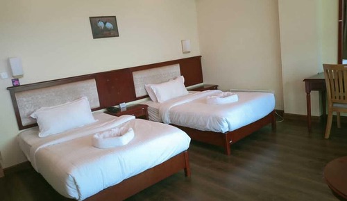 Standard Double or Twin Room