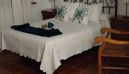Family Triple Room