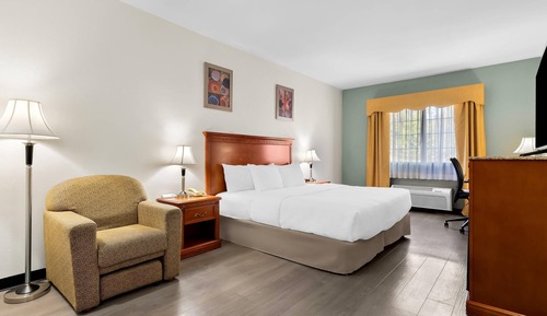 Standard Room, 1 King Bed, Non Smoking