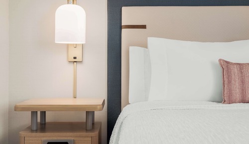 Studio, 1 King Bed, Mountain View