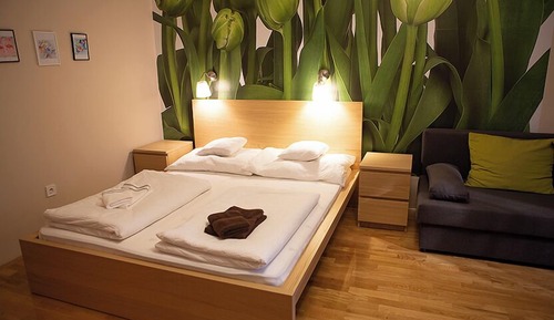 Basic Room, Garden View