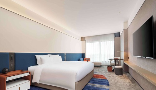 Standard Room, 1 King Bed, City View
