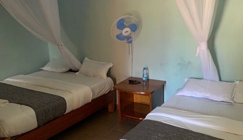 Executive Double or Twin Room