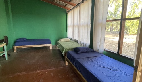Classic Shared Dormitory