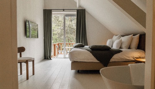 Charm Suite Forest