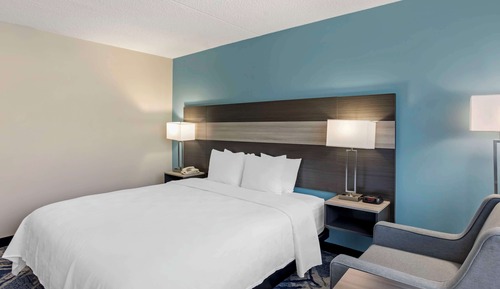 Standard Room,1 King Bed, Accessible, Roll-in Shower, Refrigerator & Microwave